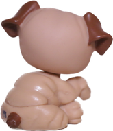 #1342 Bulldog